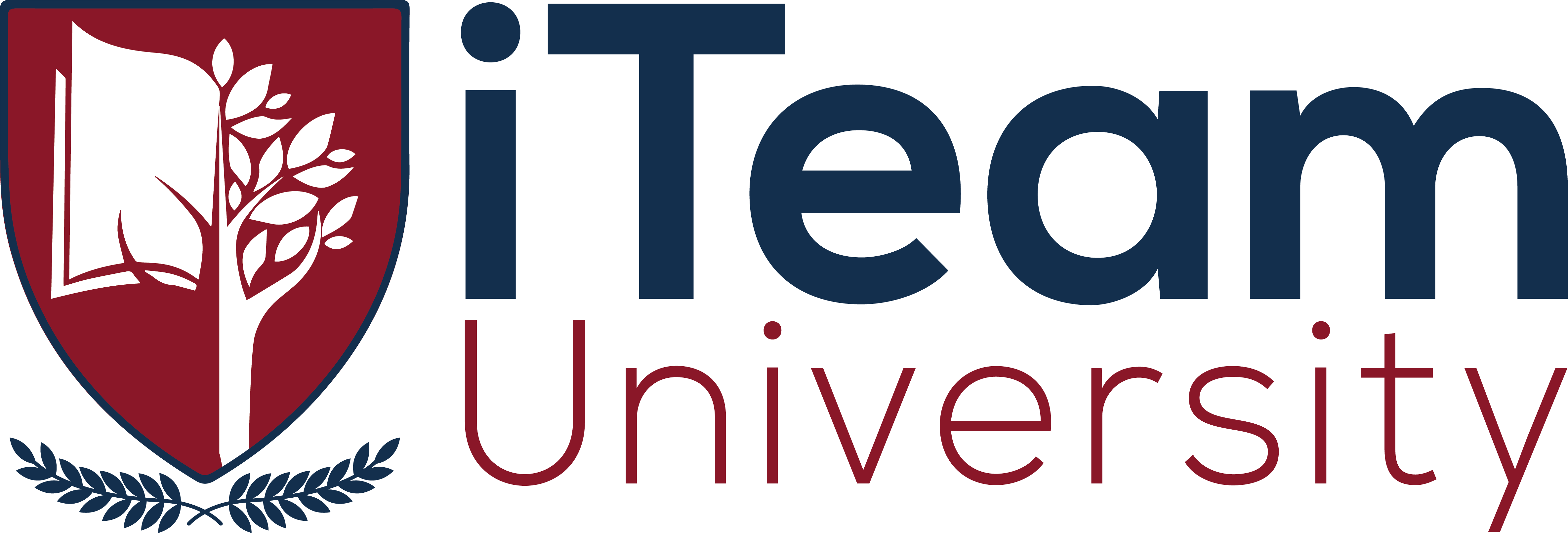 iTeam University - École d'ingénieurs à Tunis, Tunisie